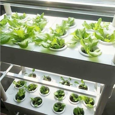 4-úrovňová sada pro hydroponickou zahradu s LED světly