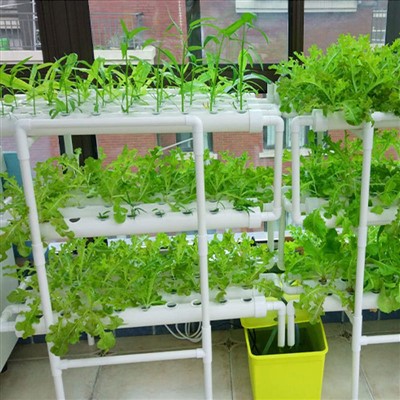 108 stanovišť pro rostliny Hydroponic Grow Kit Vodní kultura Systém zahradních rostlin